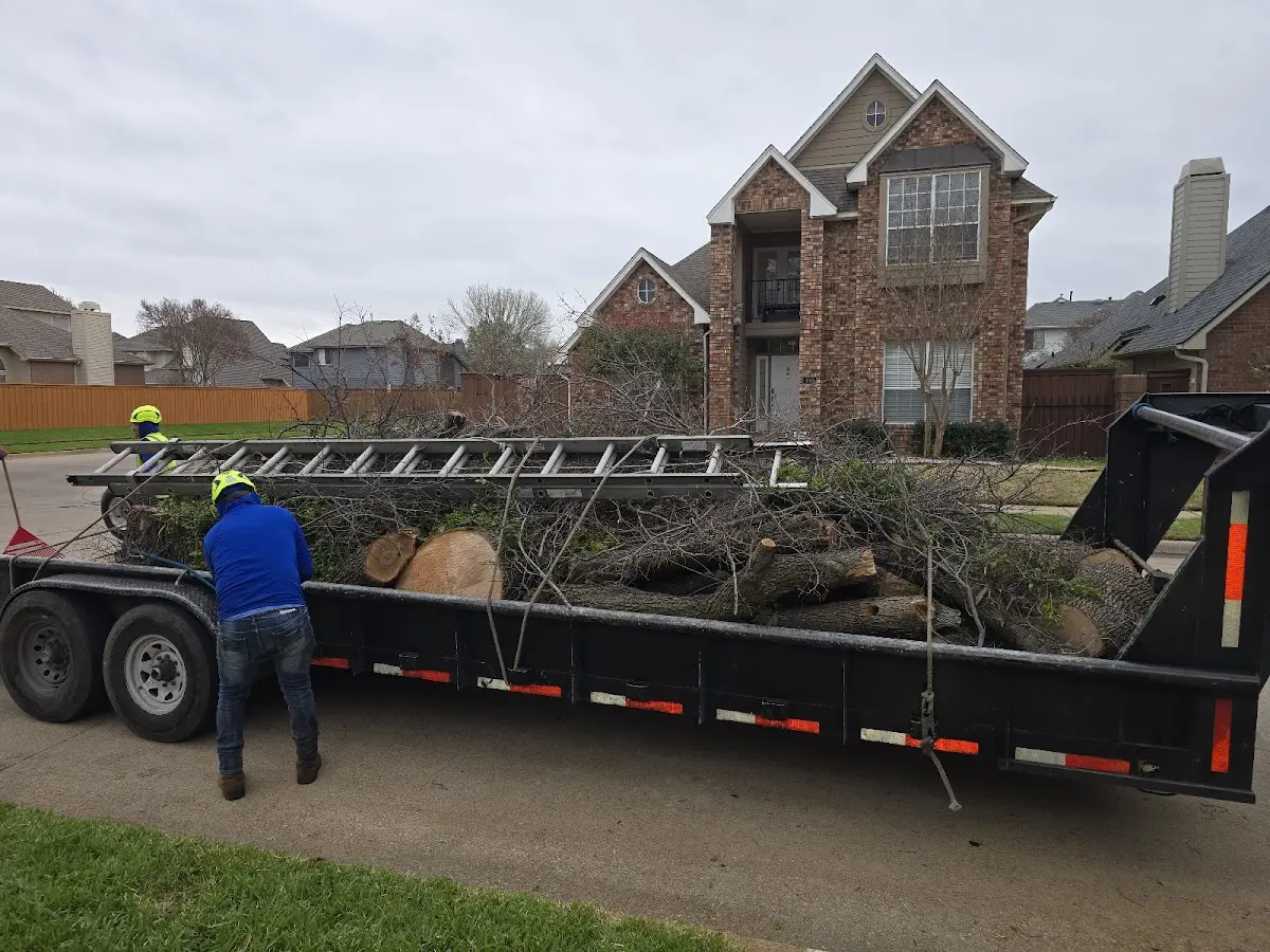 Expert Lot Clearing with proper safety equipment in Howard